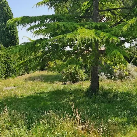Grande Avec Piscine Villa Saint-Drezery
